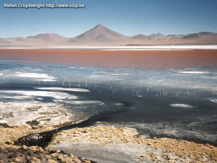 Uyuni - Laguna Colorada Laguna Colorada, a blood-red coloured lake surrounded by volcanos. The algae give the water this mysterious color. Although it is terribly cold - temperatures can fall to -40° C at night - you will discover colonies of  flamingos. Stefan Cruysberghs